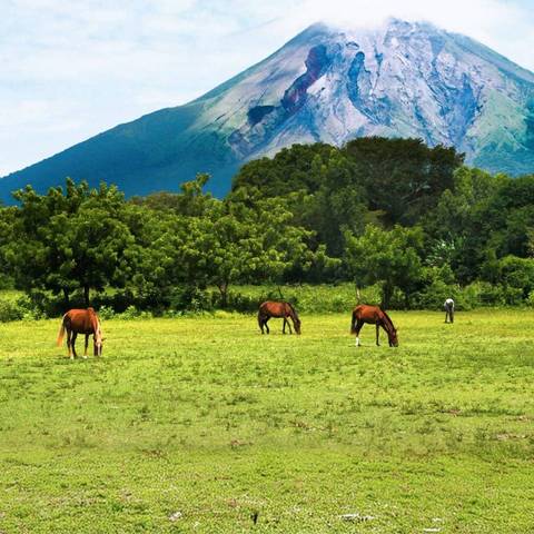 South America Eco Tours: Antigua To San Jose