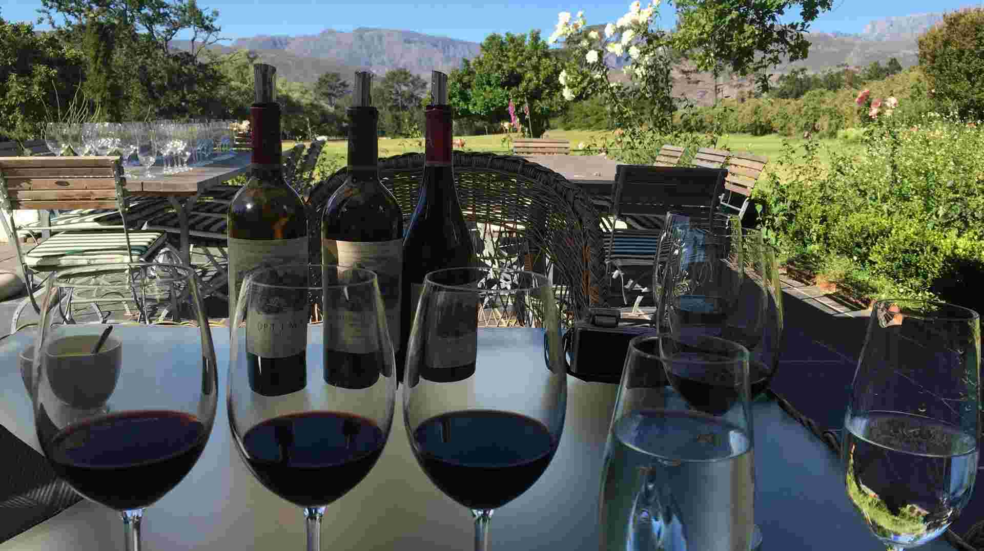 Antonij Rupert Premium Wine Tasting
