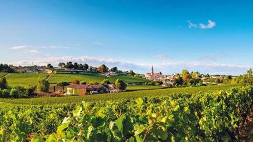 Aquitaine Reimagined: Bordeaux, Its Rivers and Great Wines ¿ An Exclusive Cruise with Lunch at a Château (port-to-port cruise) - Croisieurope - France - Image 4