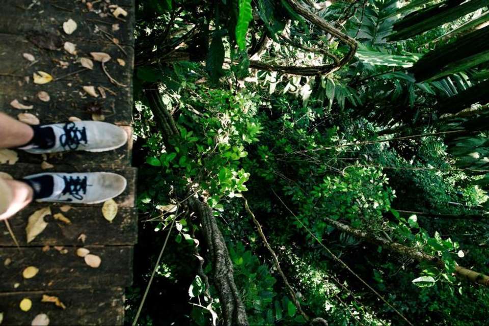 Arborismo In Cabanas - Tangol Tours - Brazil