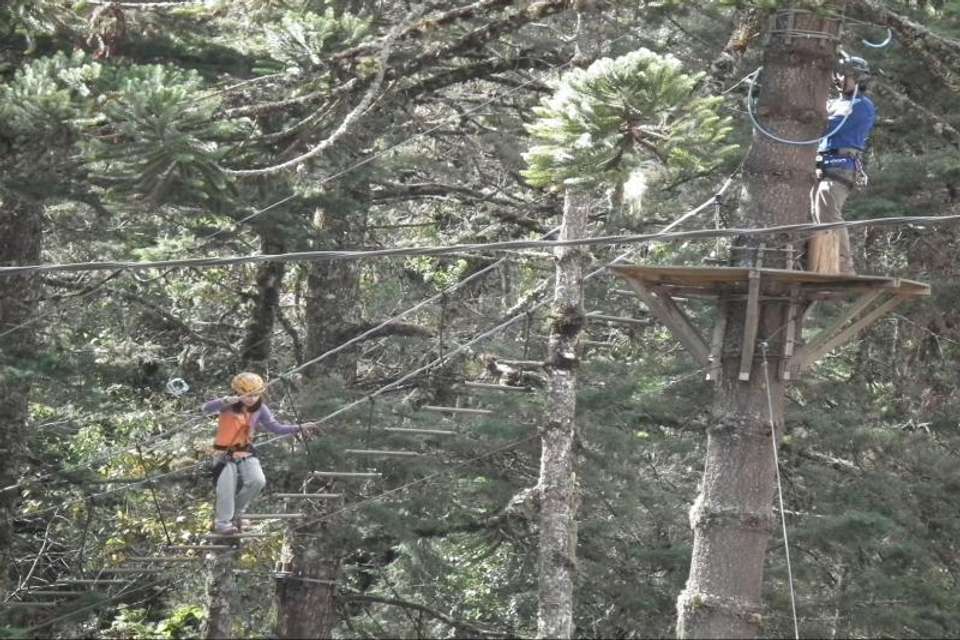 Arborismo In Cabanas - Tangol Tours - Brazil