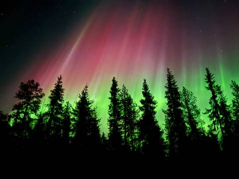 Northern Europe Experienced Travelers Trips: Arctic Circle Aurora Adventure