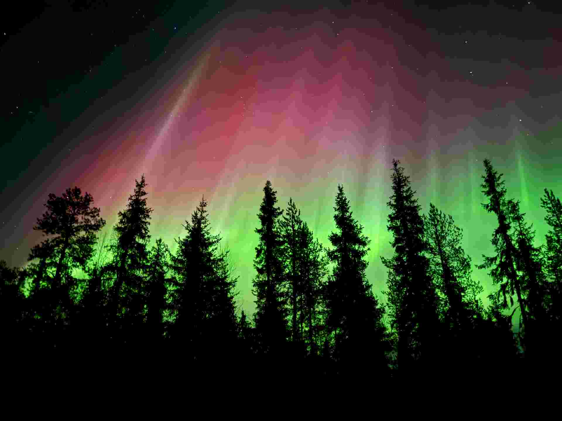 Arctic Circle Aurora Adventure