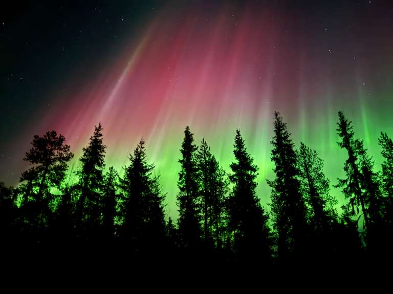 Arctic Circle Aurora Adventure trip - alternative tour available