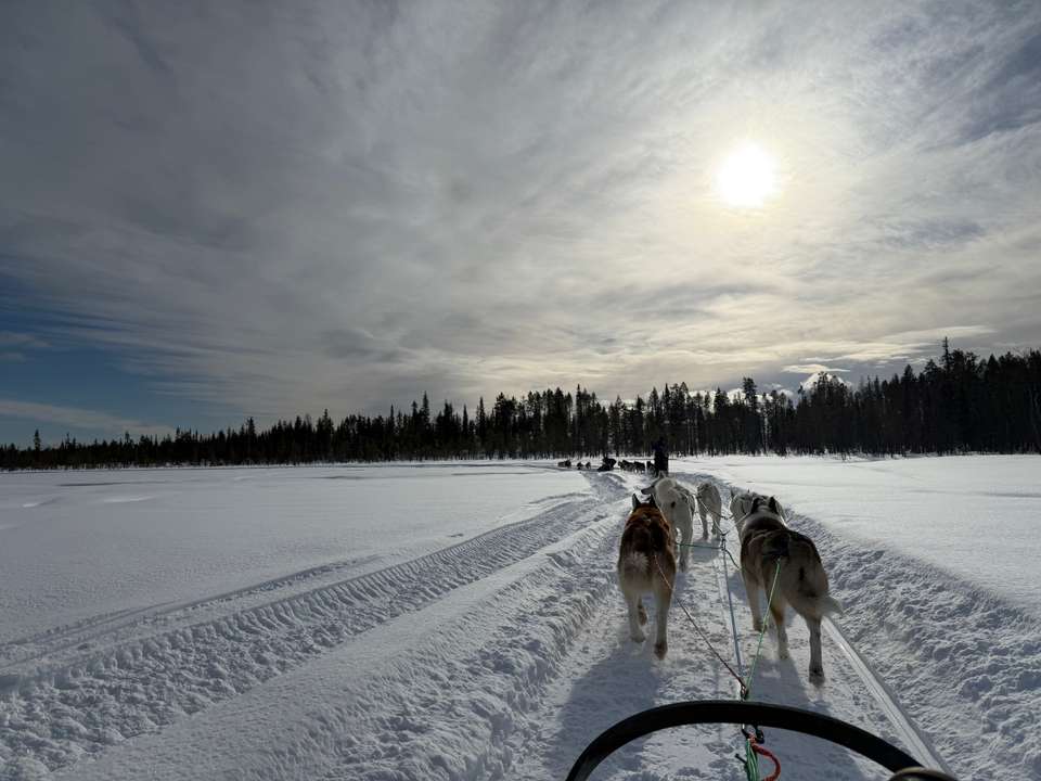 Swedish Lapland Winter Adventure - Exodus Adventure Travels - Finland - Image 23