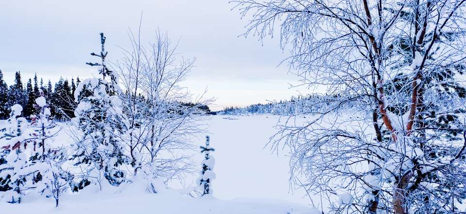 Swedish Lapland Winter Adventure - Exodus Adventure Travels - Finland - Image 16