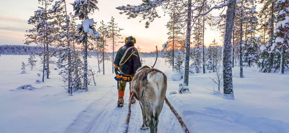 Swedish Lapland Winter Adventure - Exodus Adventure Travels - Finland - Image 14