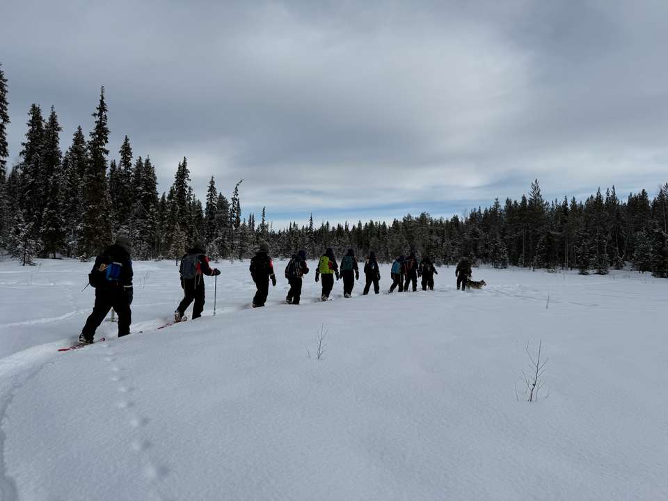 Swedish Lapland Winter Adventure - Exodus Adventure Travels - Finland - Image 9