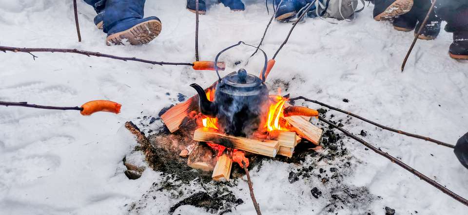 Swedish Lapland Winter Adventure - Exodus Adventure Travels - Finland - Image 7