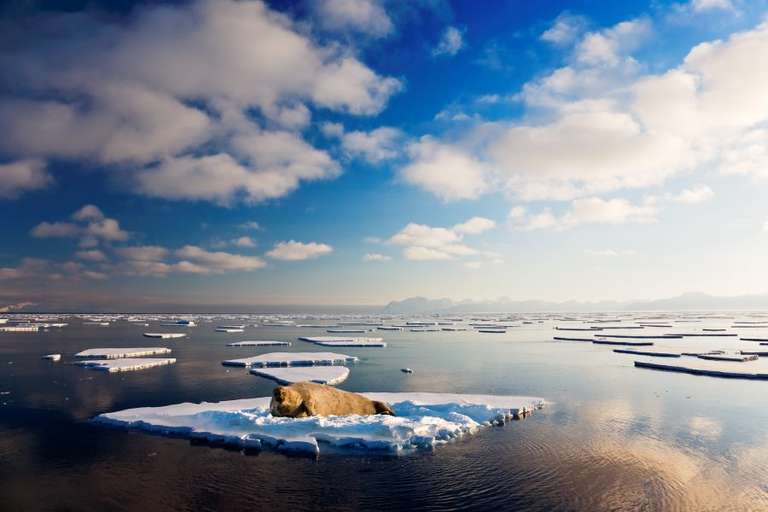 Arctic Golden Autumn & Northern Lights - M/V Sylvia Earle trip - alternative tour available