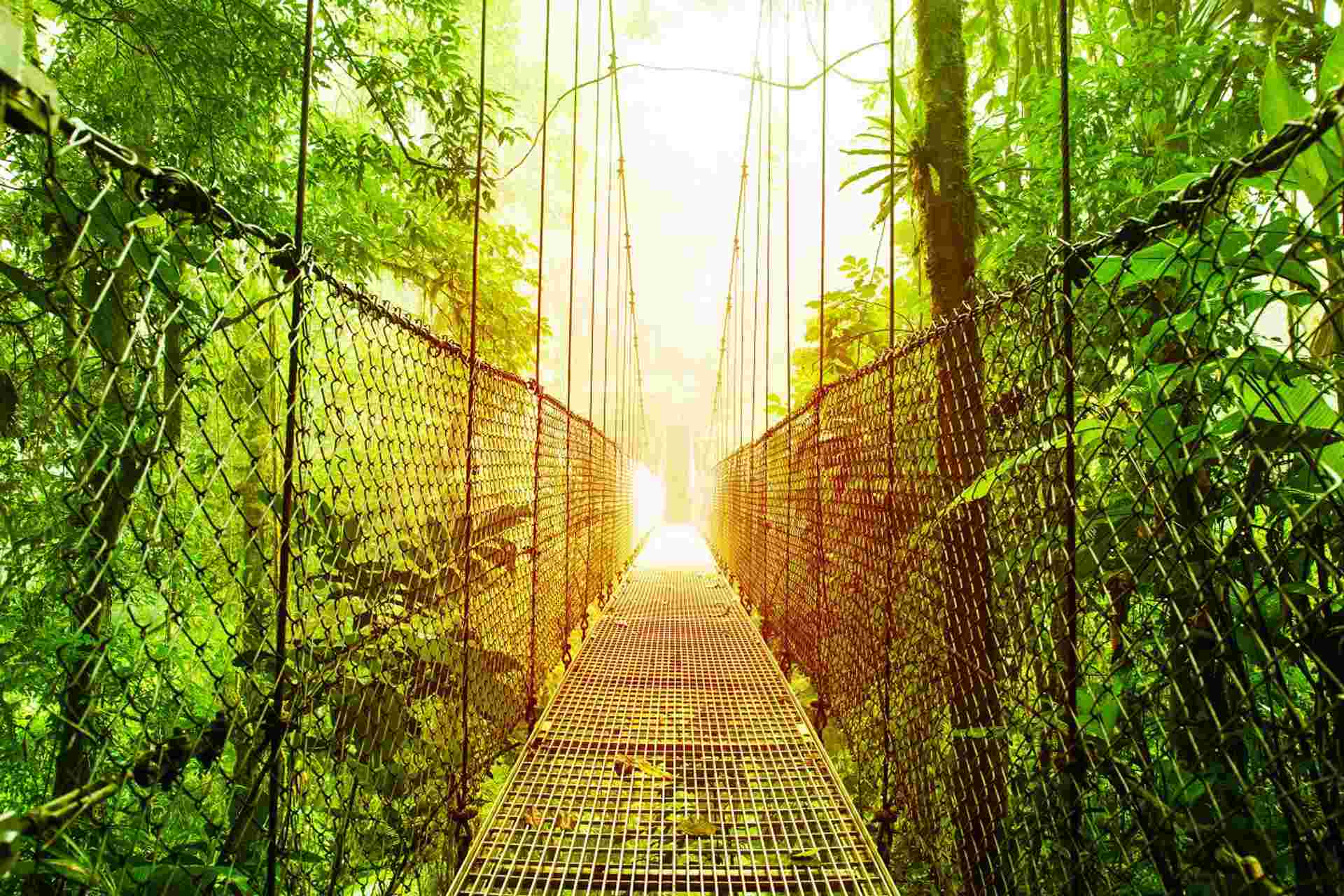 Arenal And Monteverde, Short Break
