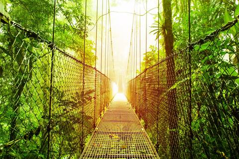 San Jose Getaways And Short Breaks Tour: Arenal And Monteverde, Short Break