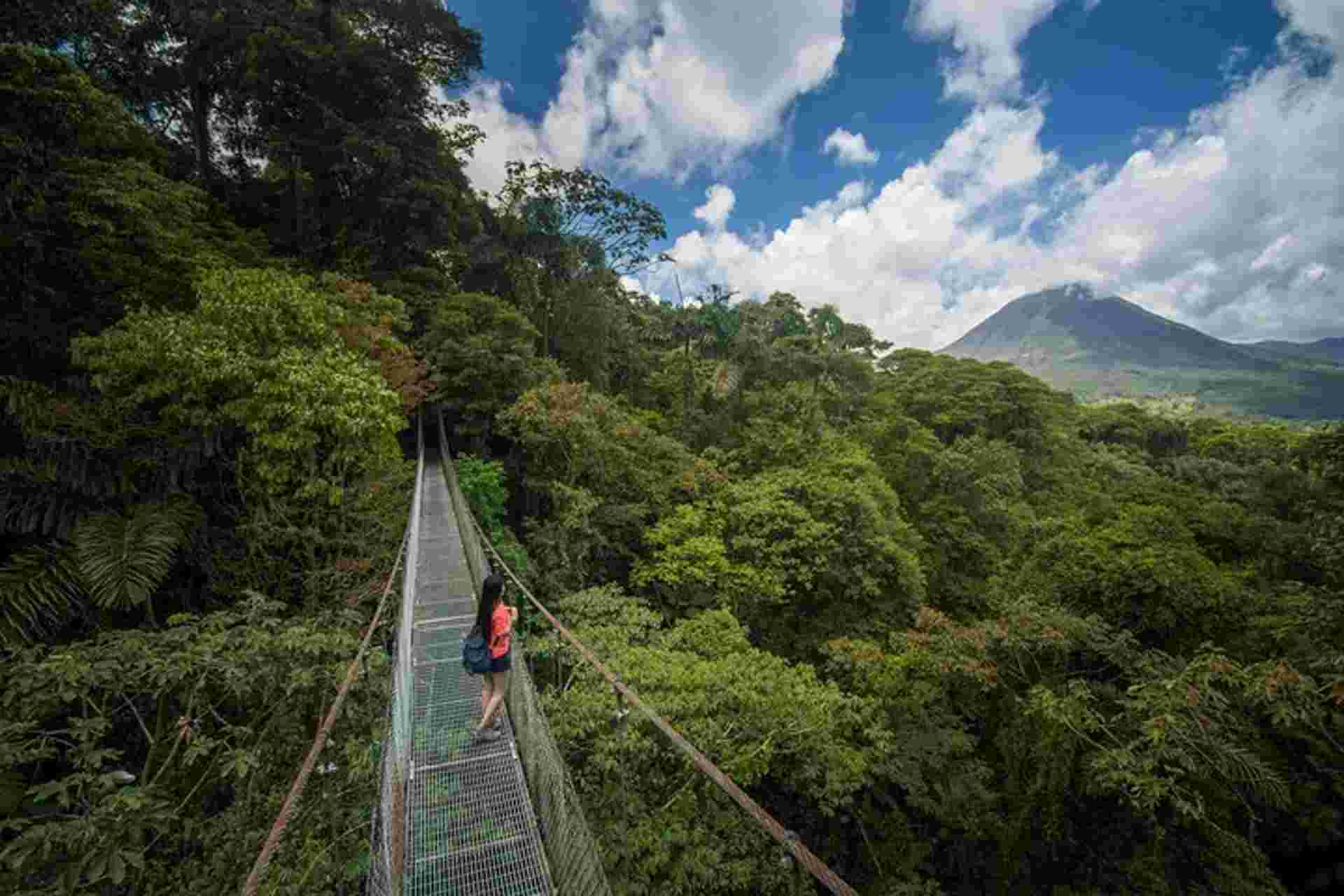 Arenal Hanging Bridges From Arenal