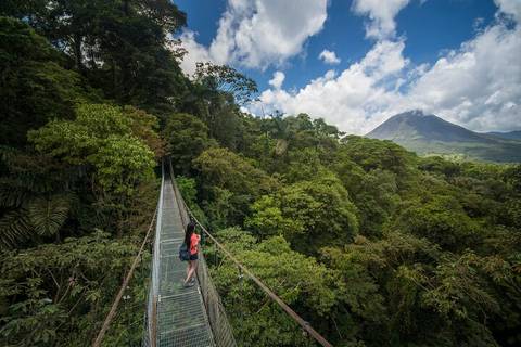 Costa Rica Bus Tour: Arenal Hanging Bridges From Arenal