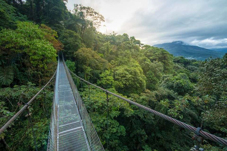 Arenal Hanging Bridges From Arenal - Destination Services - Costa Rica - Image 2