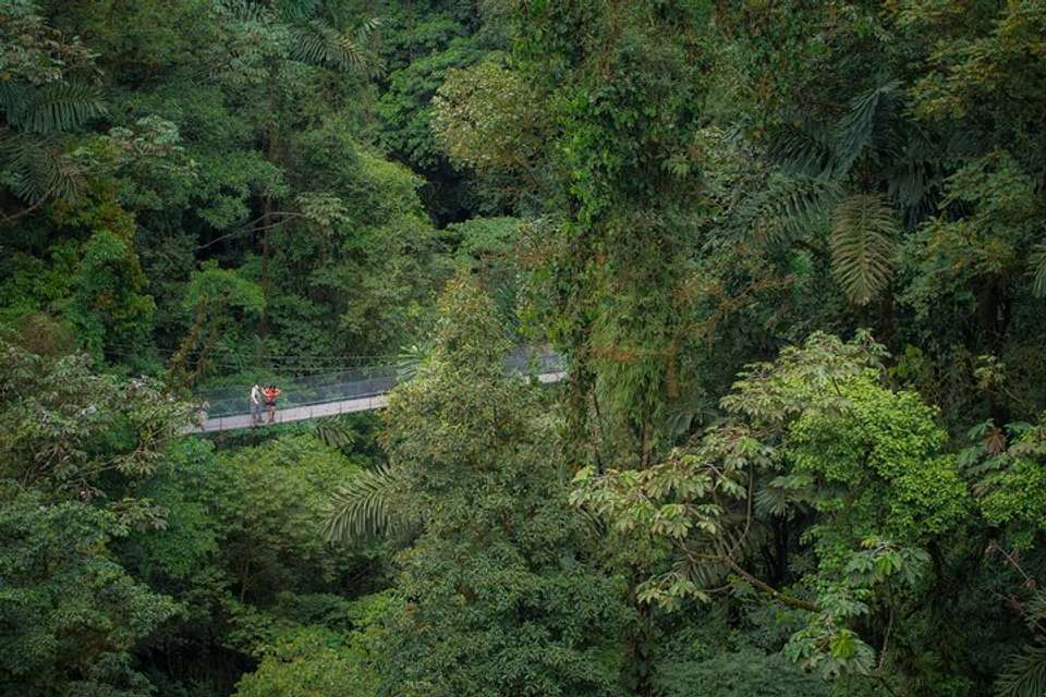 Arenal Hanging Bridges From Arenal - Destination Services - Costa Rica - Image 4