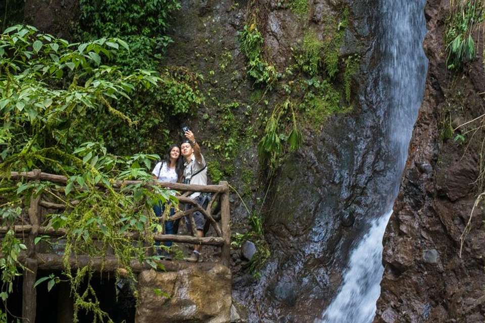 Arenal Hanging Bridges From Arenal - Destination Services - Costa Rica - Image 8