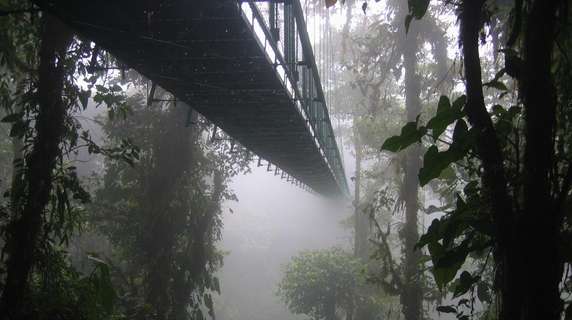 Image 4 of 7