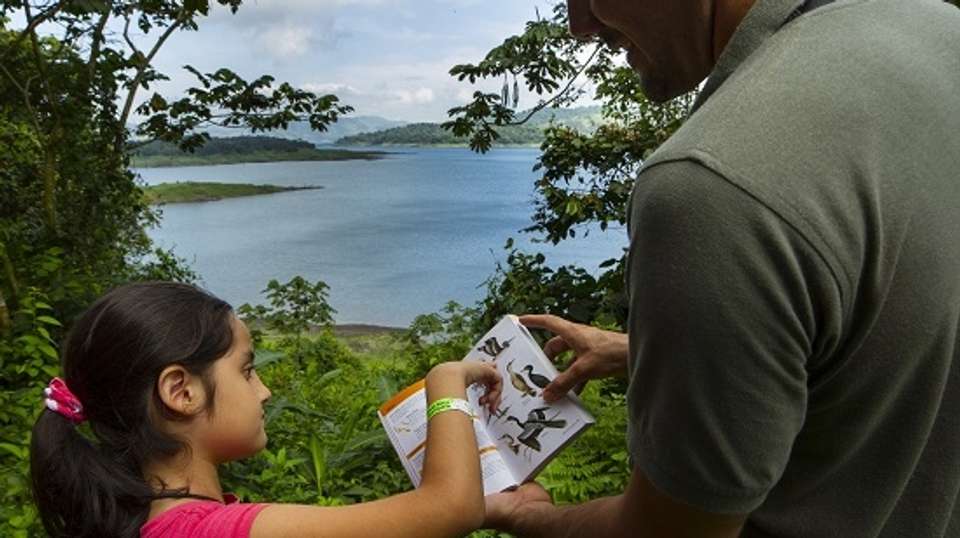 Arenal Volcano National Park & Arenal Lake - Eco Terra Costa Rica - Costa Rica - Image 4