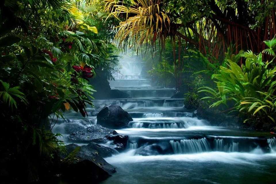 Arenal Volcano With Ecotermales Hot Springs From San José - Destination Services - Costa Rica - Image 3