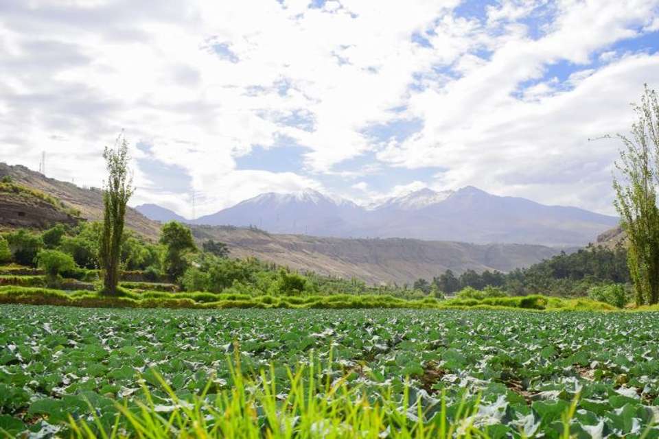 Arequipa City Tour with panoramic bus - Tangol Tours - Peru - Image 3