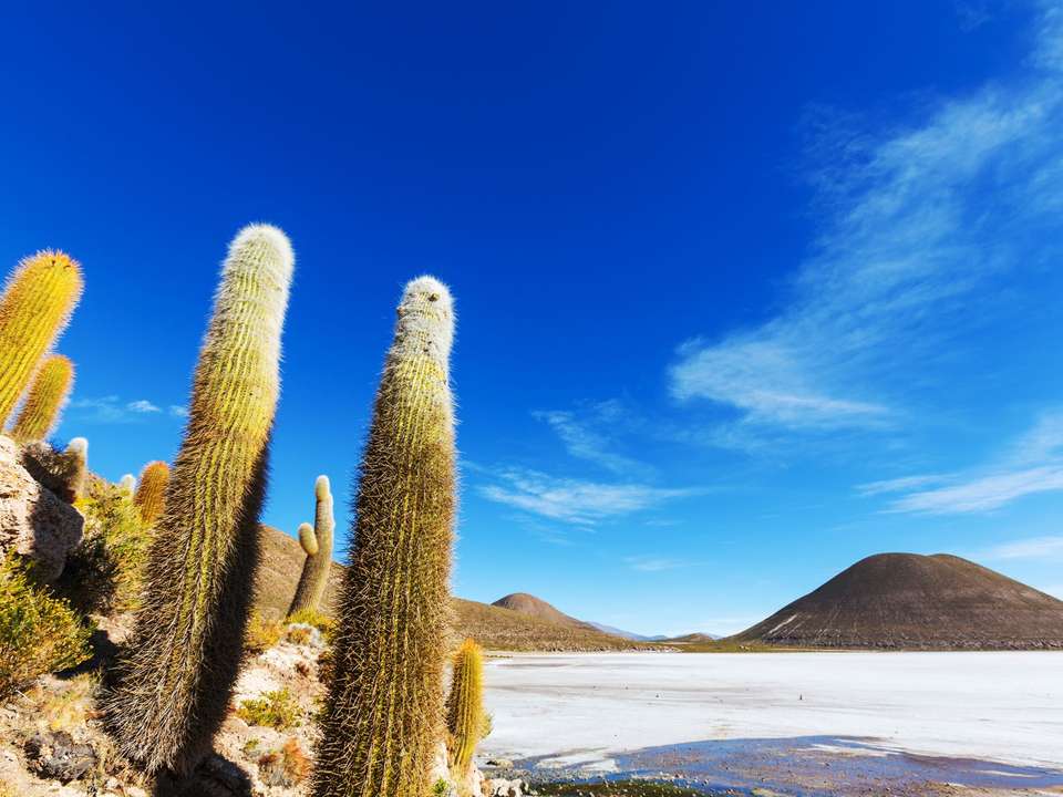 Argentina, Atacama & Andes - 20 days - On The Go Tours - Argentina - Image 4