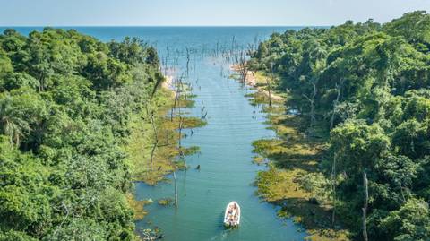 Argentina: Iguassu Falls & Ibera Wetlands Adventure