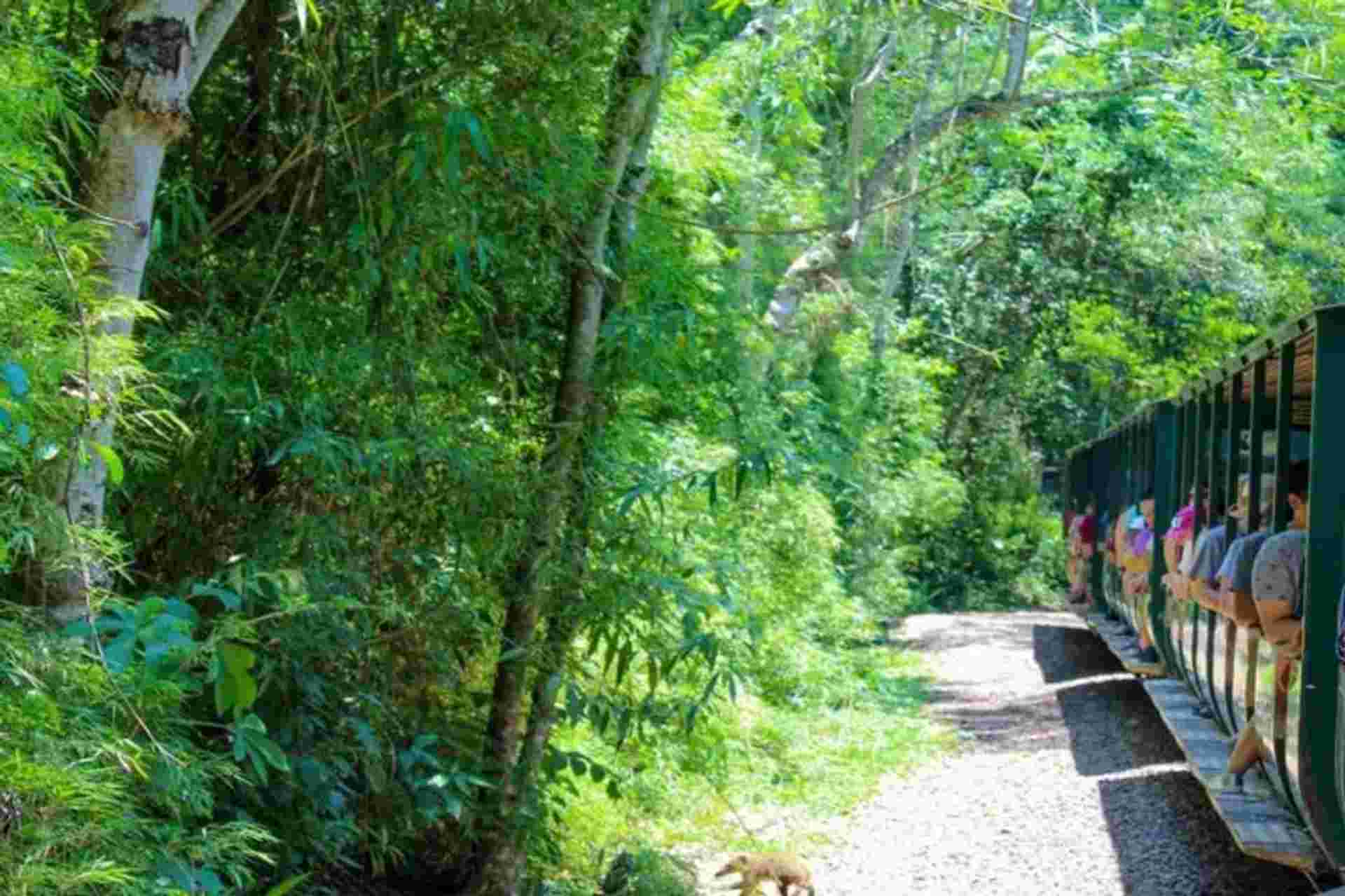 Argentine Falls Tour with transfers and entry ticket - Small Group