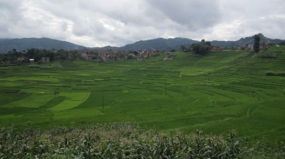 Image 4 of 4