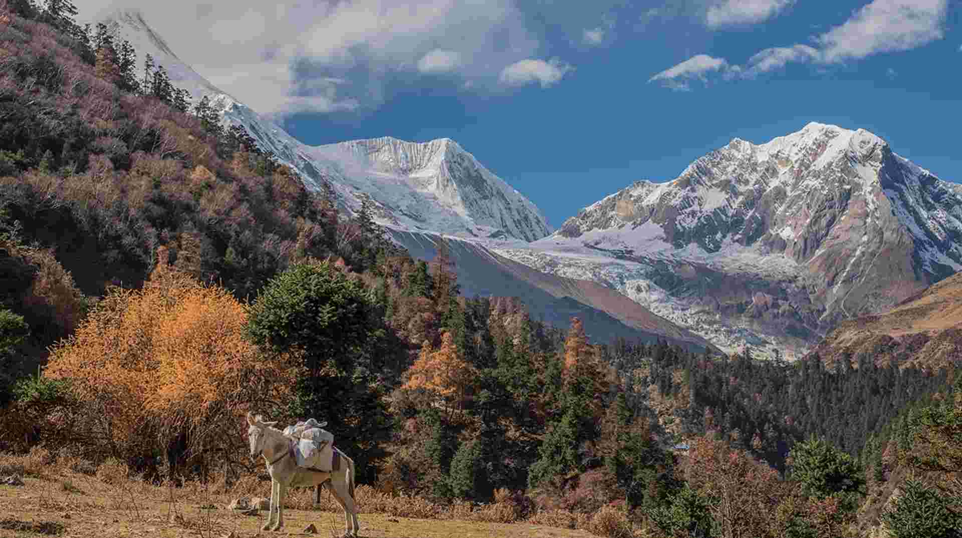Around Manaslu Trek