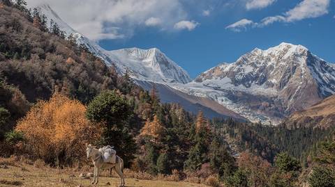 Around Manaslu Trek - 18 Days