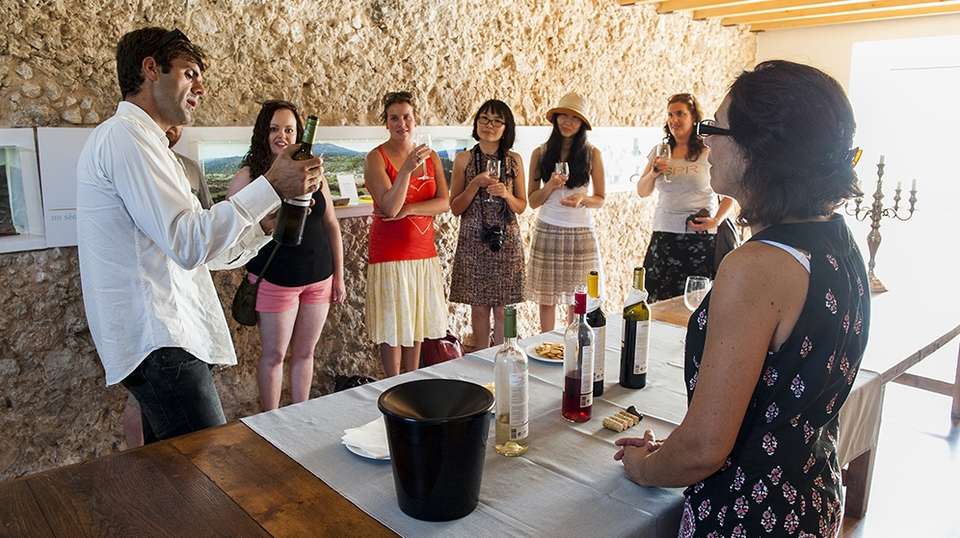 Arrábida Wine Tour - Inside Tours, Lda - Portugal - Image 3