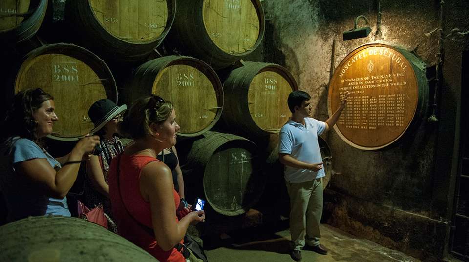 Arrábida Wine Tour - Inside Tours, Lda - Portugal - Image 4
