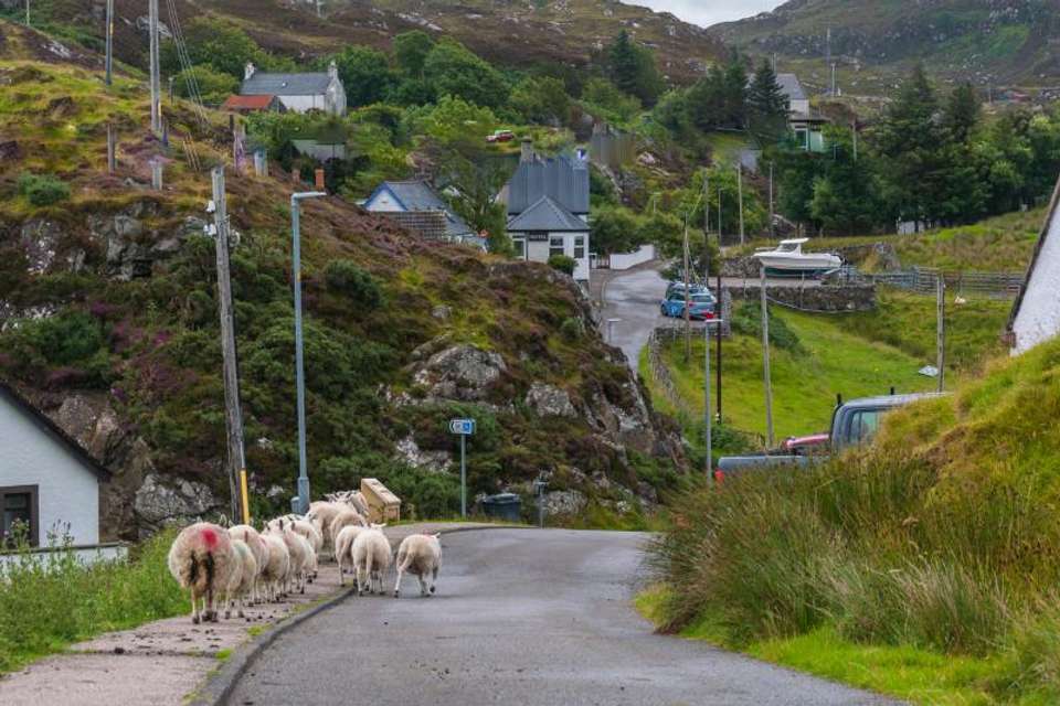 Assynt Circular Cycle Route - Self Guided - Spirit Journey Worldwide - Scotland - Image 7