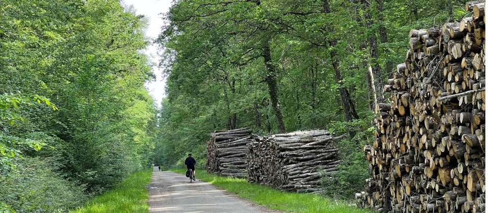 Atlantic Coast Cycle -  Nantes to La Rochelle - Utracks - France