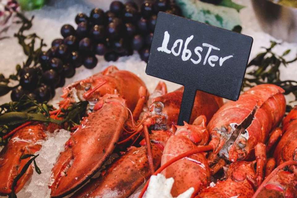 Atlantic Maritimes Adventure - Omega Tours - Canada