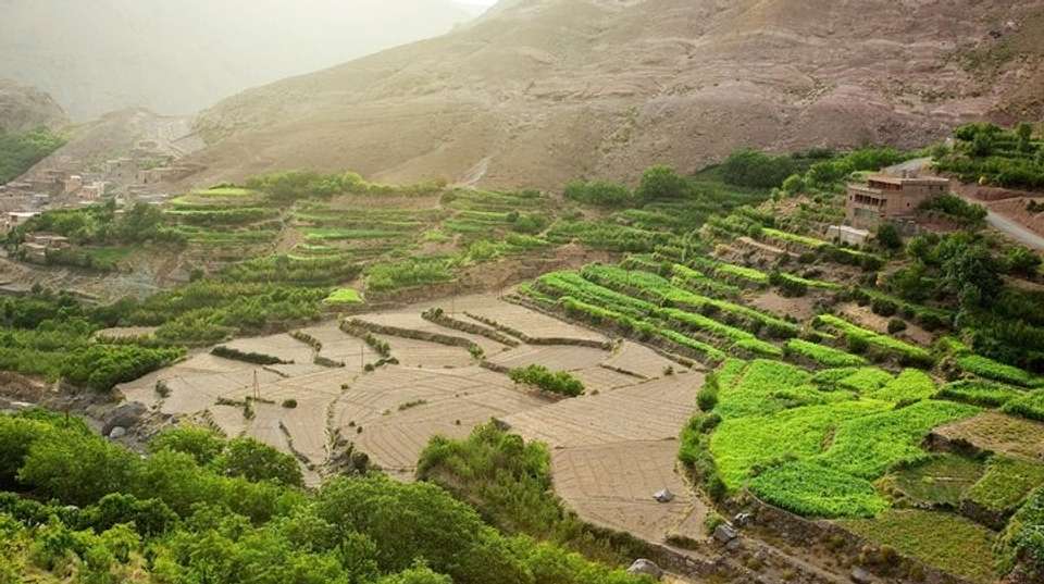 Atlas Mountains Day Trip with Camel Ride (Imlil) - Ando Travel Agency - Morocco - Image 3