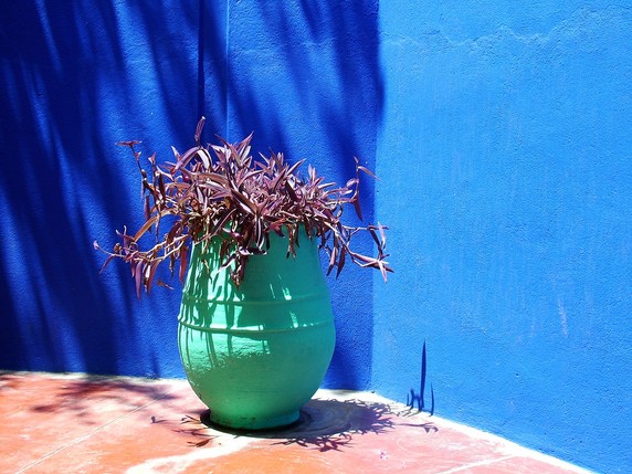 Image 4 of 9