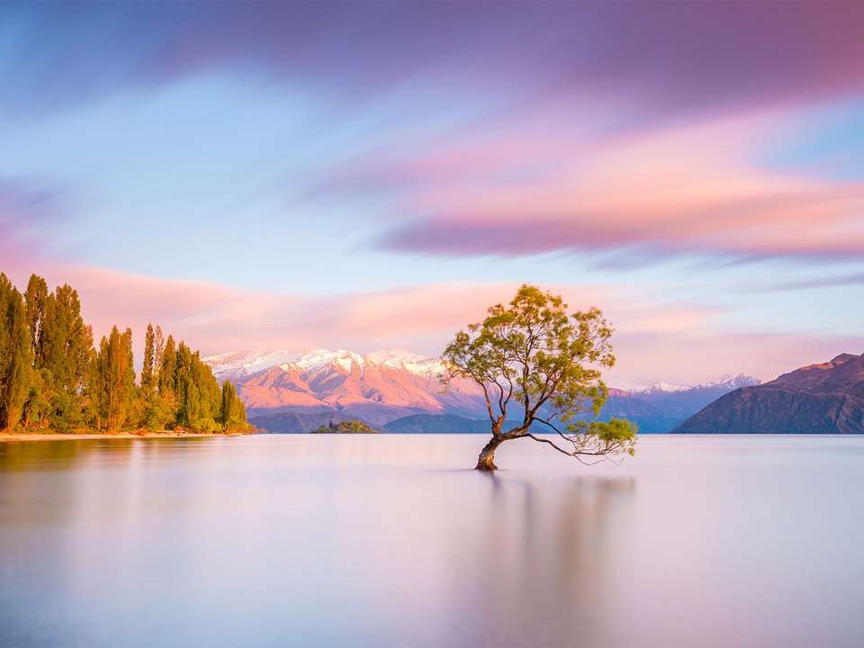 Auckland to Queenstown Adventure - 17 days - undefined - Image 6