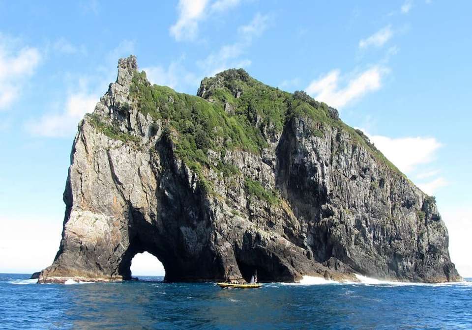Auckland to Wellington Self Drive - undefined - Image 3