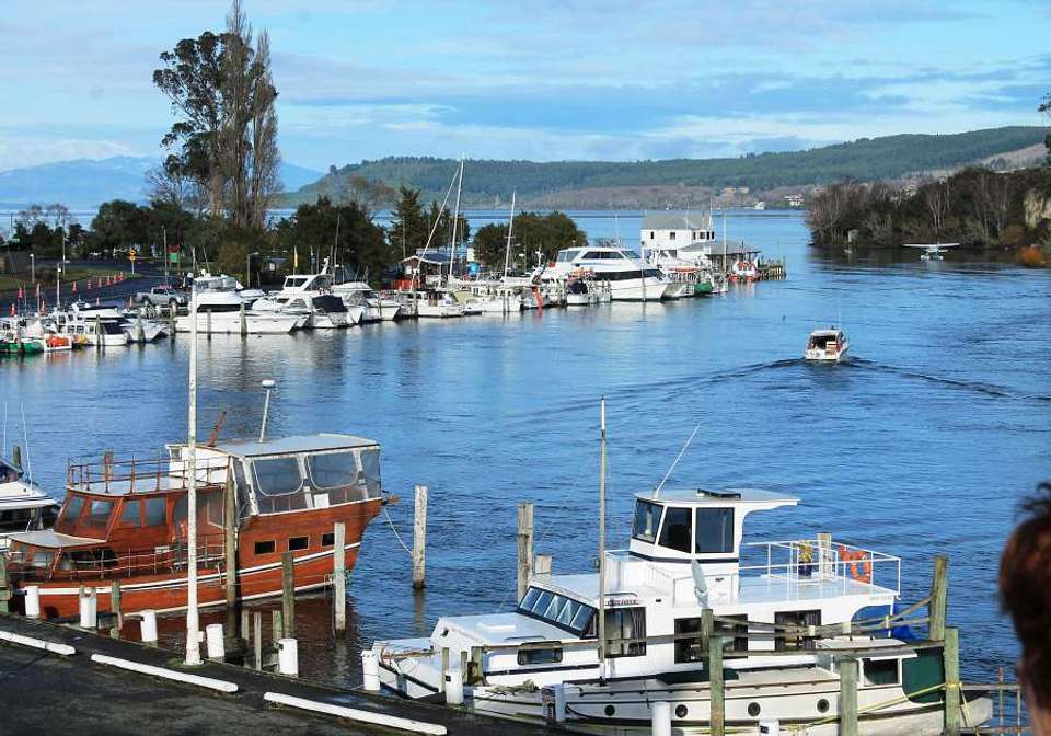 Auckland to Wellington Self Drive - undefined - Image 7