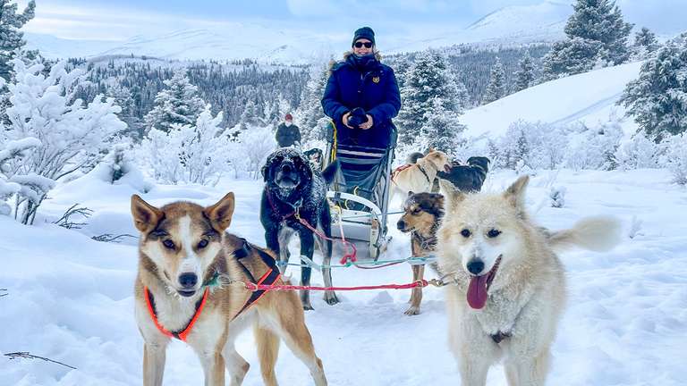 Aurora Adventure: Winter in the Canadian Rockies & The Yukon - 10 days