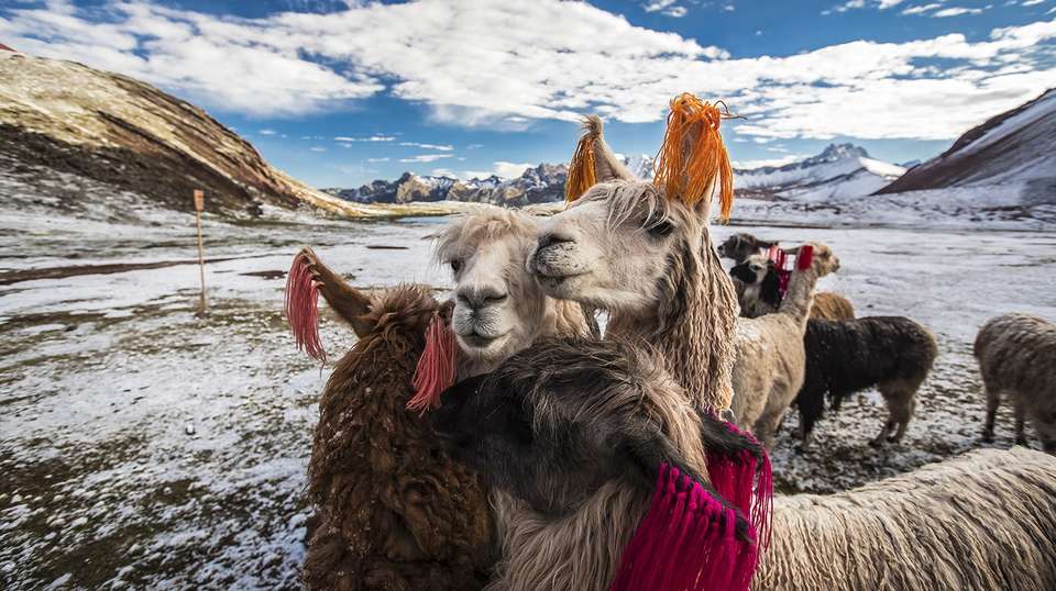 Ausangate lodge to lodge trek - Andean Lodges - Peru - Image 2