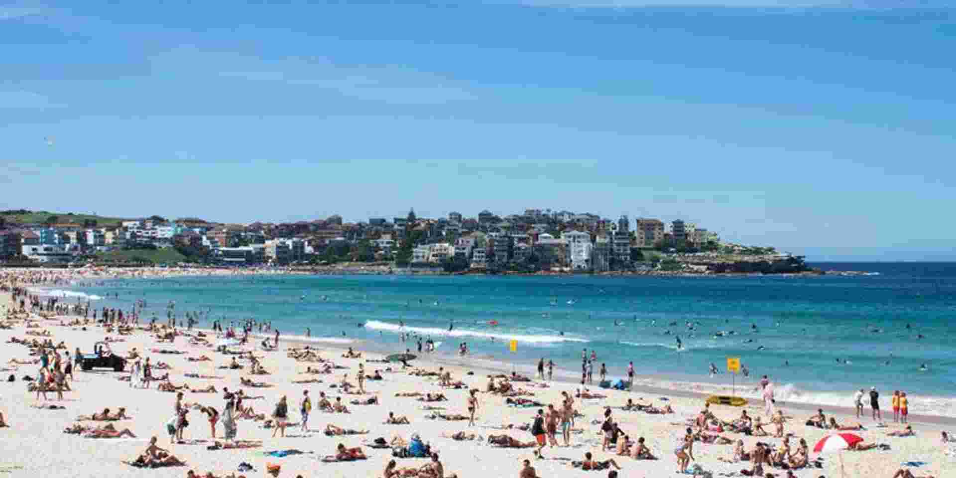 Australia & New Zealand: A Month Down Under