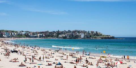 Auckland Explorer Tour: Australia & New Zealand: A Month Down Under