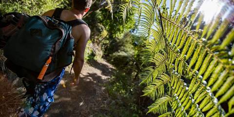 Oceania Tours For Young Adults: Australia And New Zealand: Bushwalks & Beaches