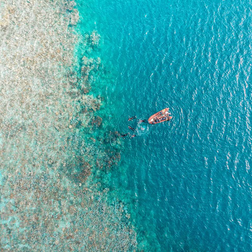 Australia: Beaches and Reefs - Contiki - Australia - Image 7