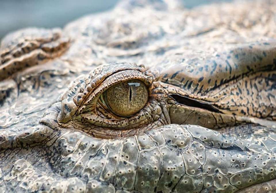 Australia Explorer - Indus Travels - Australia - Image 10