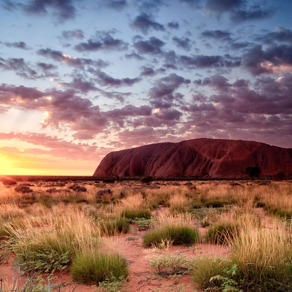 Australia: North Queensland to Uluru - Contiki - Australia - Image 5