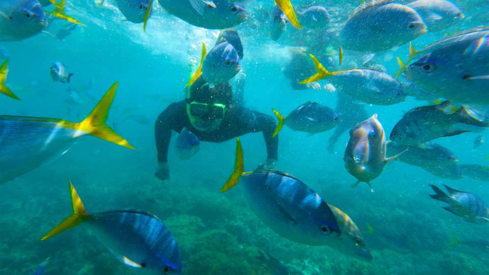 Australia to New Zealand: The Best of the South Pacific - G Adventures - Australia - Image 20